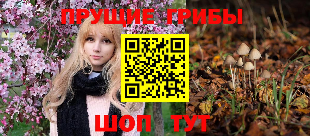 Пенза  Псилоцибиновые грибы GOLDEN TEACHER  Вход с VPN 